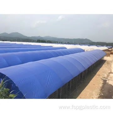 Woven Fabric for Durable Tarpaulin for Construction